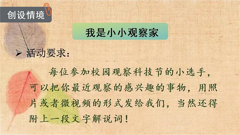 部编版语文四年级上册 习作三  写观察日记 课件第7页