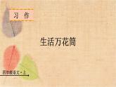 部编版语文四年级上册 习作五  生活万花筒 课件