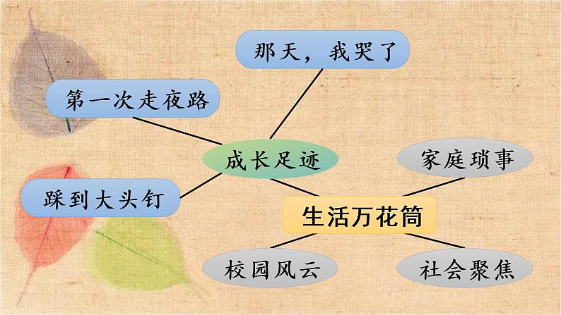 部编版语文四年级上册 习作五  生活万花筒 课件第8页