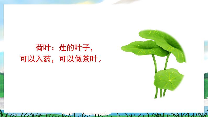 12 荷叶圆圆 课件+教案教学反思+导学案+课堂实录+素材03