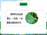 12 荷叶圆圆 课件+教案教学反思+导学案+课堂实录+素材