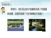 人教部编版三年级语文下册8《池子与河流》PPT课件+教学设计