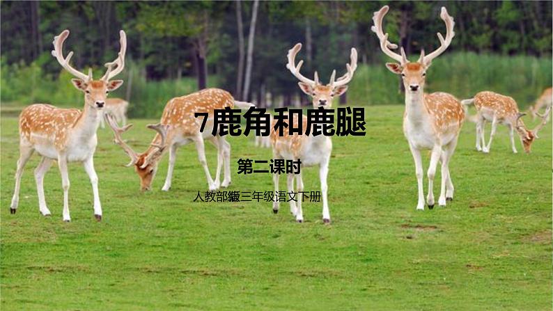 人教部编版三年级语文下册 鹿角和鹿腿 第二课时PPT课件(1)第1页
