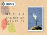 部编版语文五年级上册 1.白鹭 课件