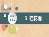 部编版语文五年级上册 3.桂花雨 课件