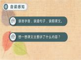 部编版语文五年级上册 3.桂花雨 课件