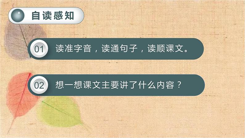 部编版语文五年级上册 3.桂花雨 课件第5页