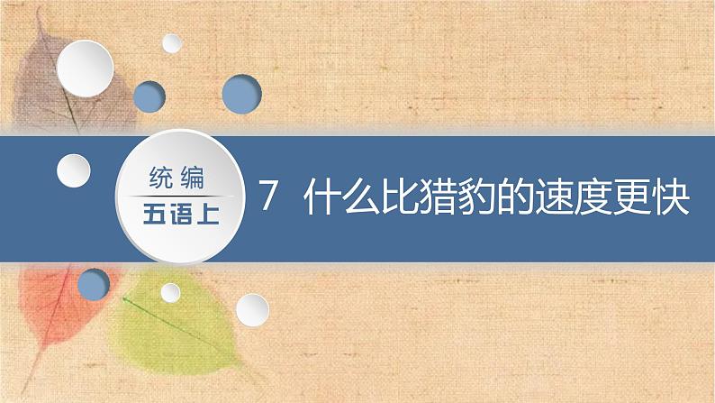 部编版语文五年级上册 7.什么比猎豹的速度更快 课件第2页