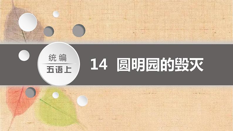 部编版语文五年级上册 14.圆明园的毁灭 课件02