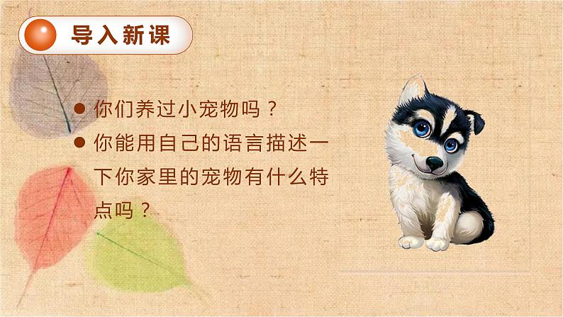 部编版语文五年级上册 17.松鼠 课件第1页