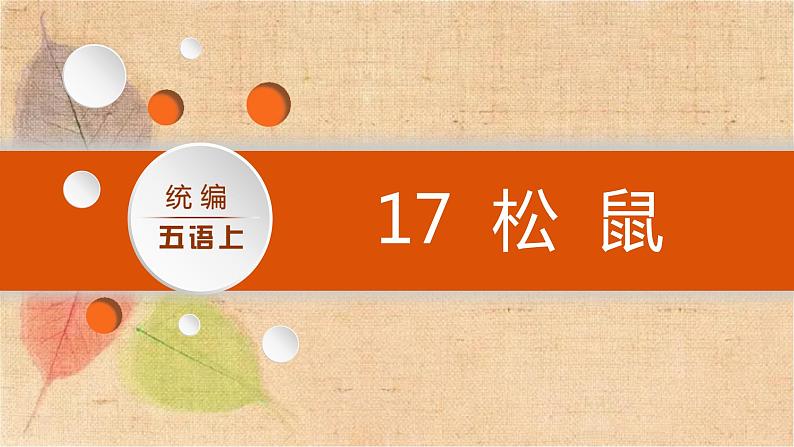 部编版语文五年级上册 17.松鼠 课件第4页
