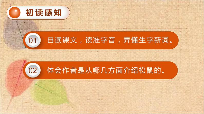部编版语文五年级上册 17.松鼠 课件第7页
