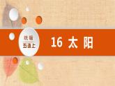 部编版语文五年级上册 16.太阳 课件