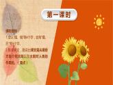 部编版语文五年级上册 16.太阳 课件