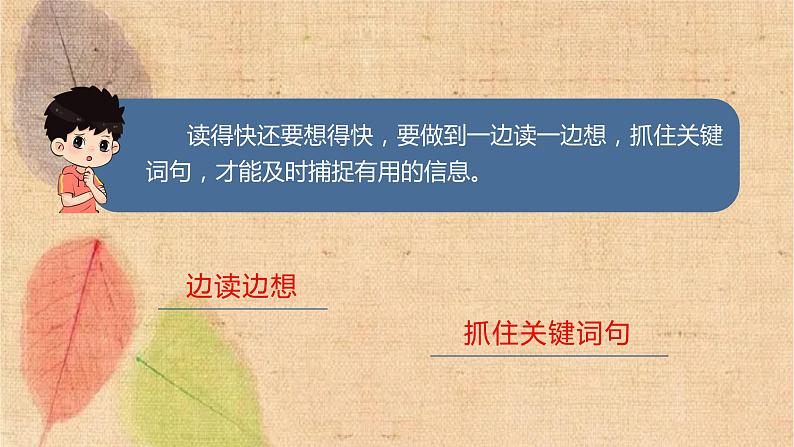 部编版语文五年级上册 语文园地二 课件06
