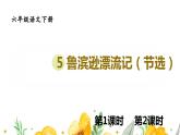 部编人教版六年级下语文5《鲁滨逊漂流记（节选）》优质示范课课件