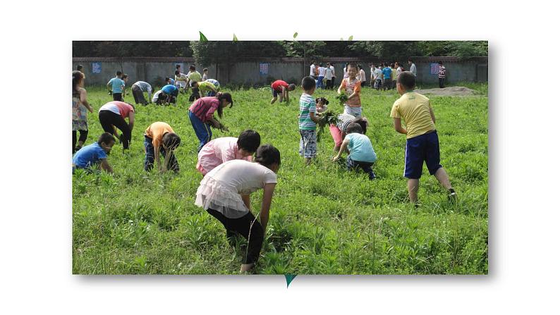 小学六年级上语文《习作 3  ______让生活更美好》优质课教学课件第4页