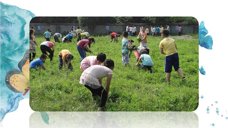 小学六年级上语文《习作 2  多彩的活动》优质课教学课件第4页