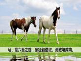 部编人教版六年级下语文10《古诗三首》优秀课堂教学课件