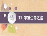 部编版语文六年级上册 11.宇宙生命之谜  课件