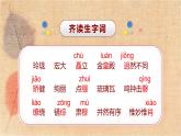 部编版语文六年级上册 12.故宫博物院 课件