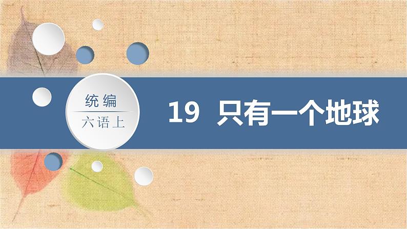 部编版语文六年级上册 19.只有一个地球 课件第3页