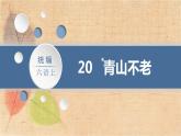 部编版语文六年级上册 20.青山不老 课件
