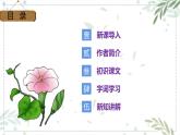 五年级语文下册部编版 2 祖父的园子 课件