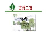 第1课《古诗二首——咏柳》（课件）部编版语文二年级下册