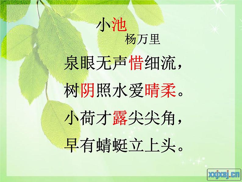 部编版一年级语文下册--12.2古诗二首小池（课件）第7页