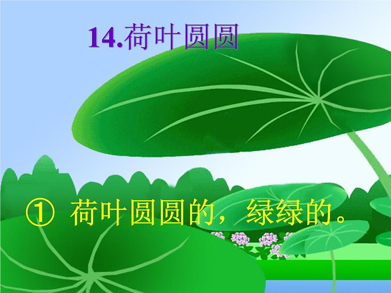 部编版一年级语文下册--13.荷叶圆圆（课件）第2页