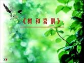 部编版一年级语文下册--6.树和喜鹊（课件）