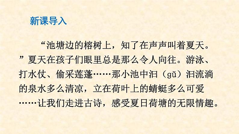 部编版一年级语文下册--12.2古诗二首小池（课件1）第3页