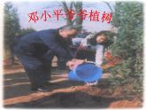 部编版二年级语文下册--4.邓小平爷爷植树（课件）