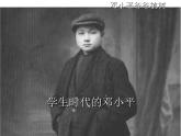 部编版二年级语文下册--4.邓小平爷爷植树（课件1）