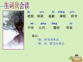 部编版二年级语文下册--9.枫树上的喜鹊（课件）