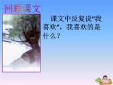 部编版二年级语文下册--9.枫树上的喜鹊（课件）