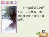 部编版二年级语文下册--9.枫树上的喜鹊（课件）