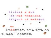 部编版二年级语文下册--22.小毛虫（课件3）