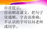 部编版二年级语文下册--23.祖先的摇篮（课件）