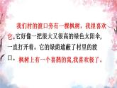部编版二年级语文下册--9.枫树上的喜鹊（课件3）