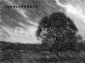 部编版二年级下册语文--16.雷雨（课件1）