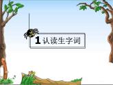 部编版二年级下册语文--20.蜘蛛开店（课件1）