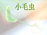 部编版二年级下册语文--22.小毛虫（课件2）
