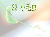 部编版二年级下册语文--22.小毛虫（课件2）