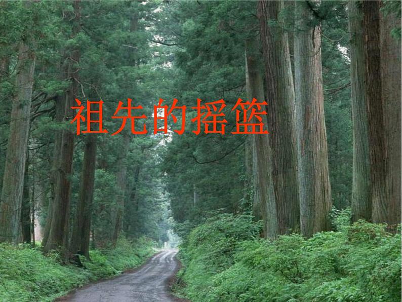 部编版二年级下册语文--23.祖先的摇篮（课件1）01