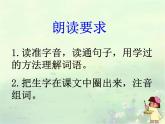 部编版二年级下册语文--23.祖先的摇篮（课件1）