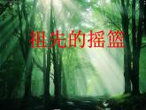 部编版二年级下册语文--23.祖先的摇篮（课件2）