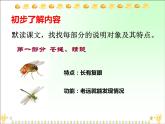 部编版三年级语文下册--4.昆虫备忘录（课件1）