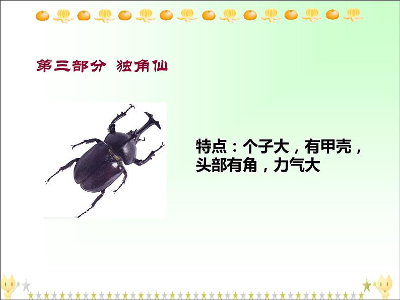 部编版三年级语文下册--4.昆虫备忘录（课件1）第6页